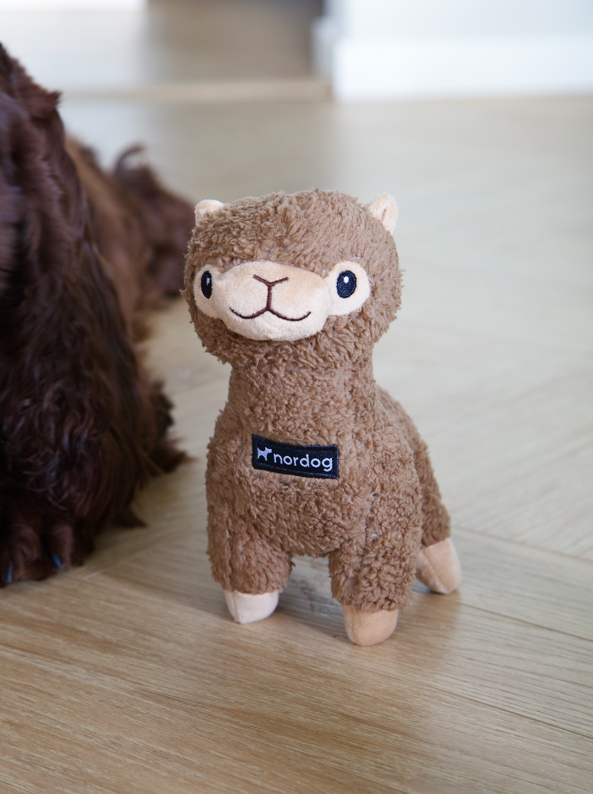 Nordog Benji Mini alpaka – hundeplysdyr – billede 4