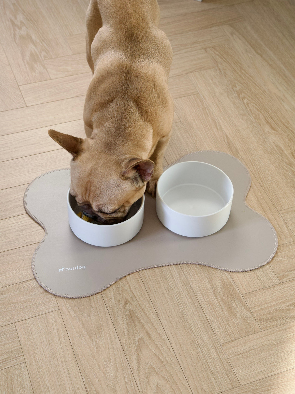Nordog Underlag til hundeskåle – Cappuccino – billede 8