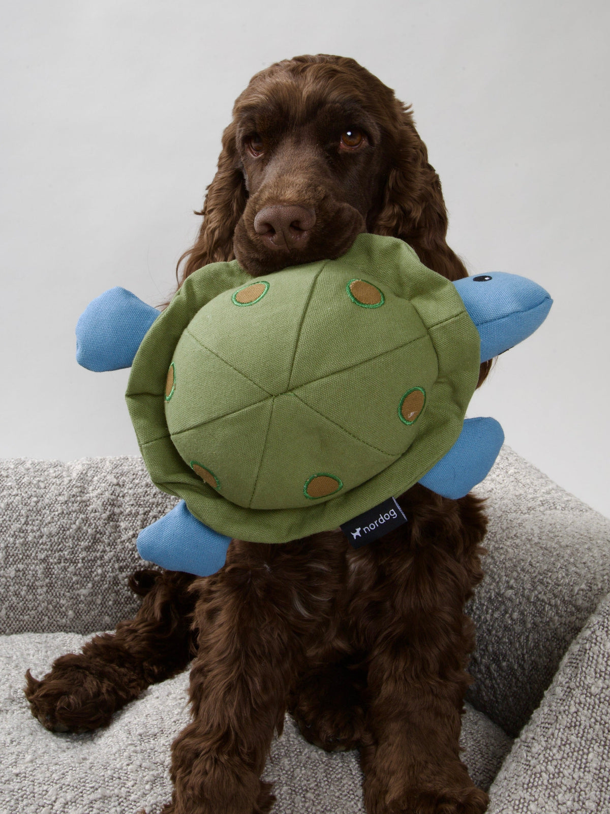 Nordog KIM The Turtle hundebamse – billede 2