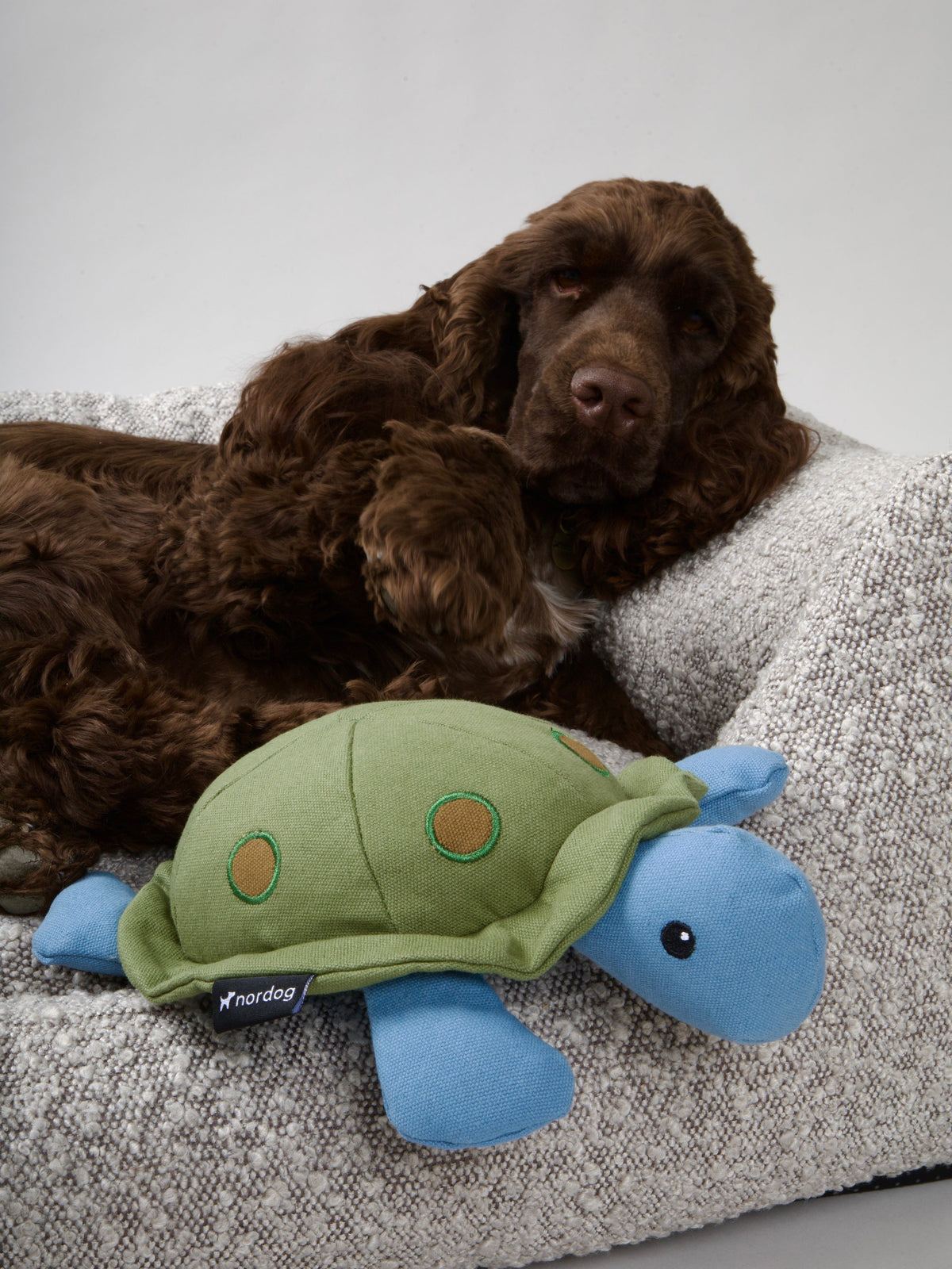 Nordog KIM The Turtle hundebamse – billede 6