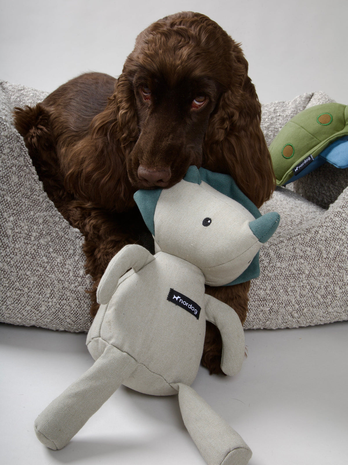 Nordog Bente The Dino hundebamse – billede 2