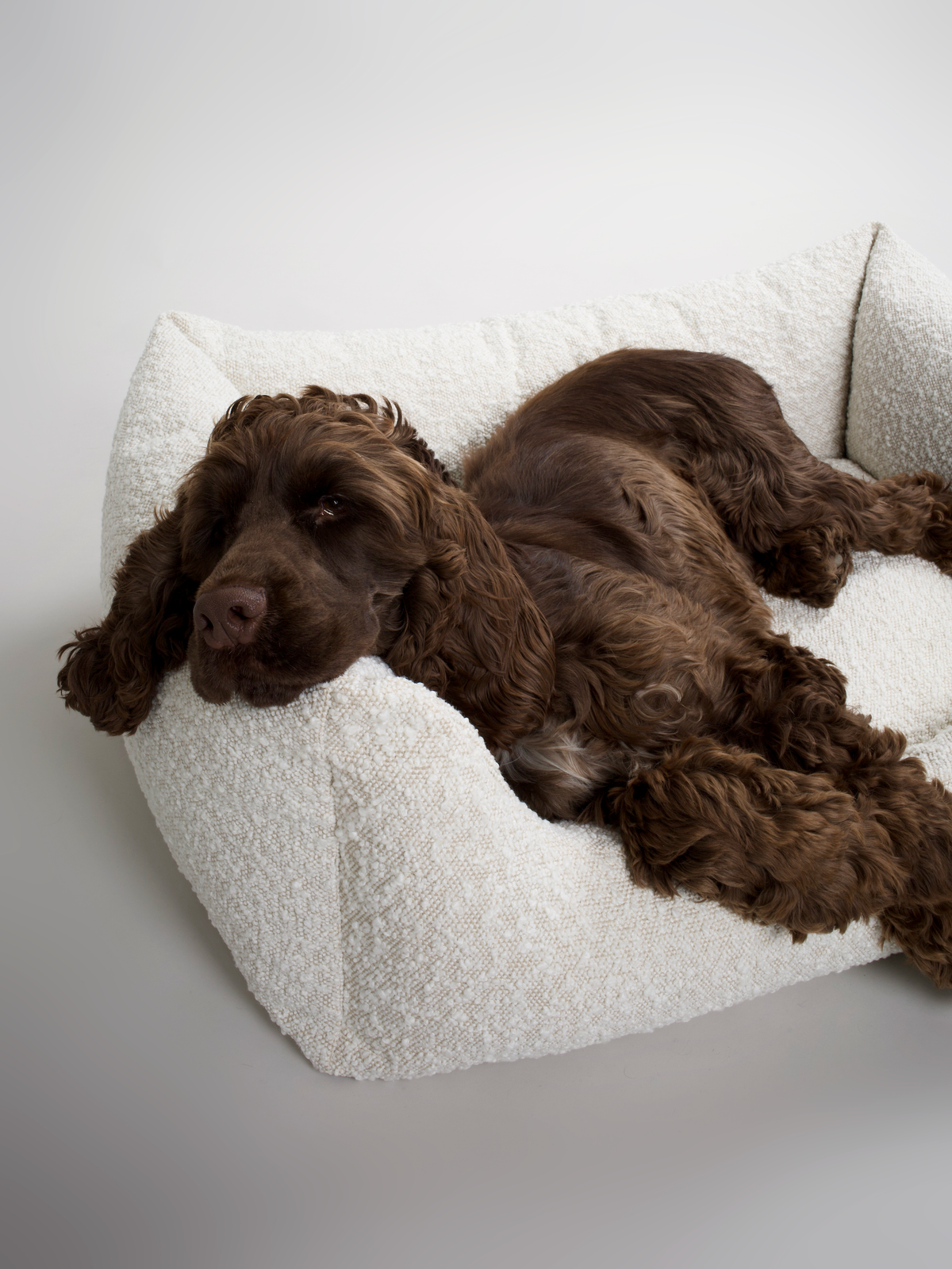 Nordog BILLY hundeseng i bouclé – Natur (specialudgave) – billede 7