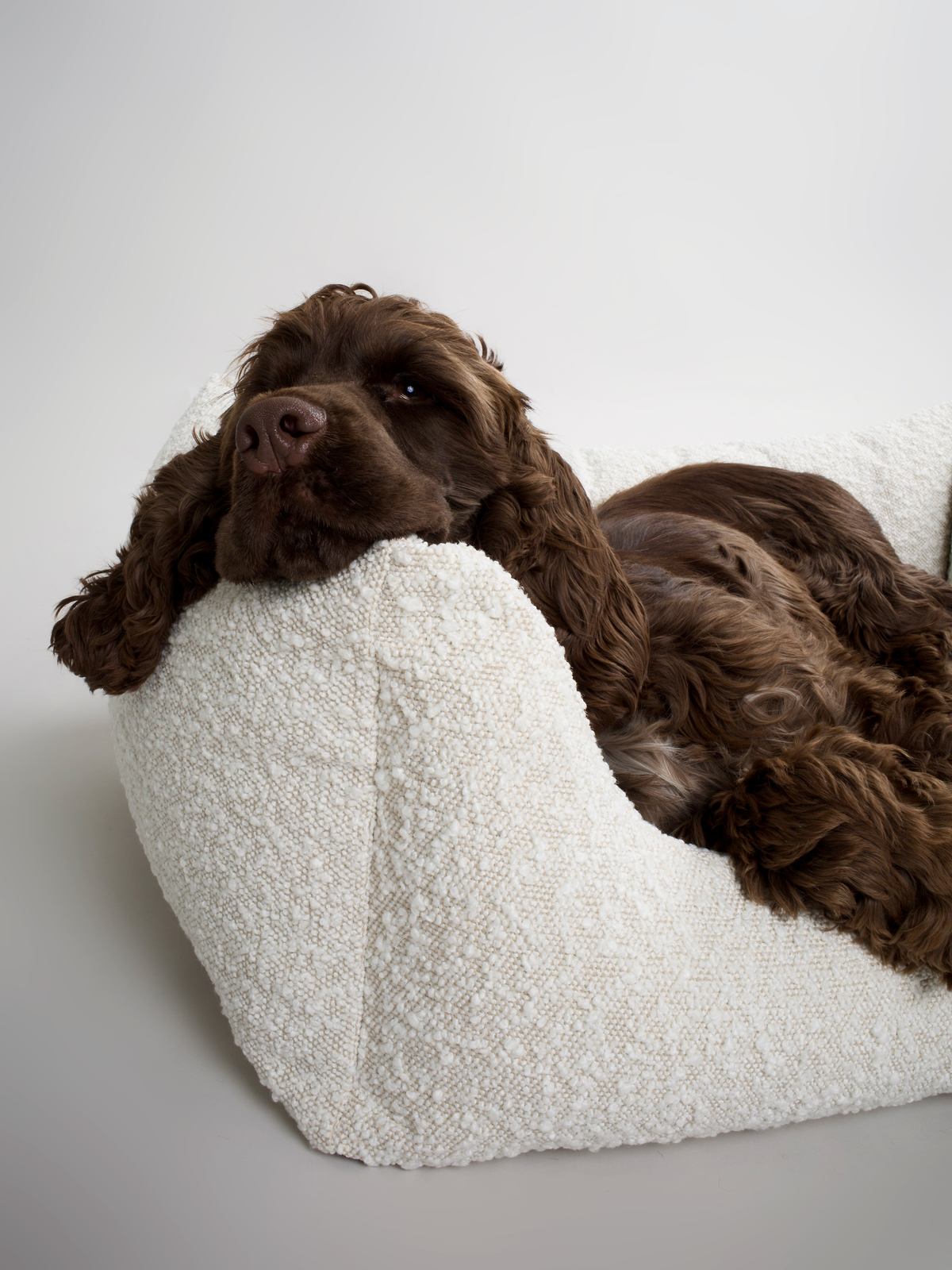 Nordog BILLY hundeseng i bouclé – Natur (specialudgave) – billede 6