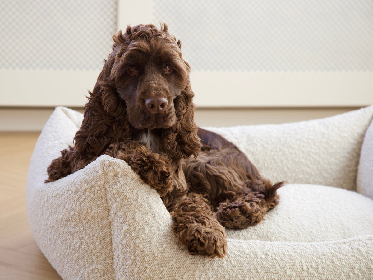 Nordog BILLY hundeseng i bouclé – Natur (specialudgave) – billede 12