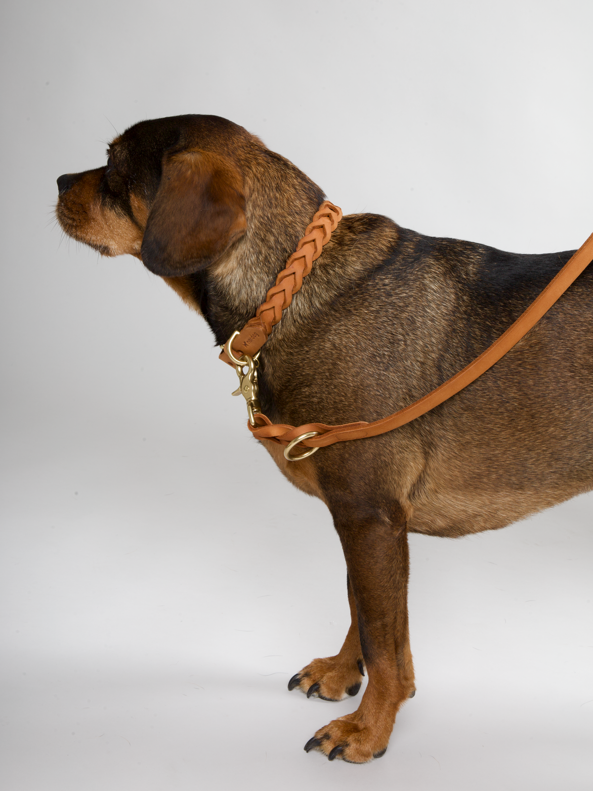 Nordog HUGO flettet hundehalsbånd – Cognac – billede 2