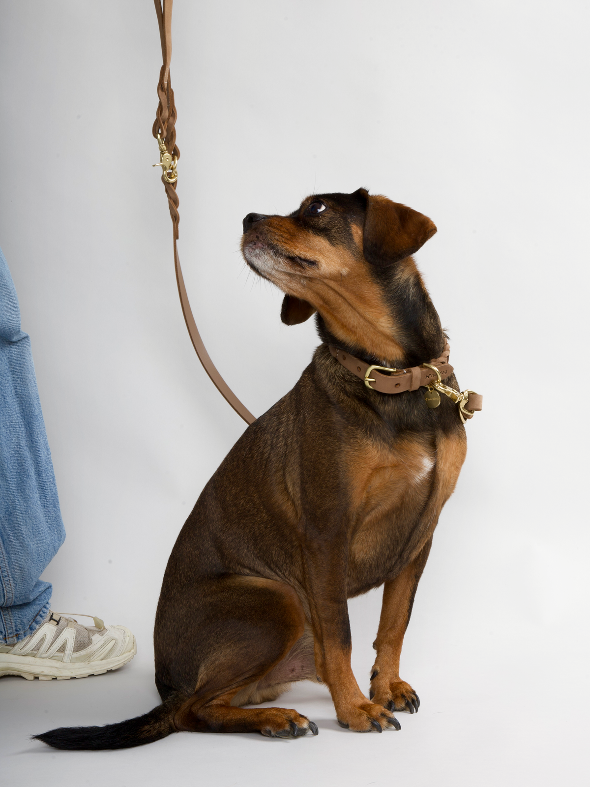 Nordog HUGO flettet hundesnor – Nougat – billede 6