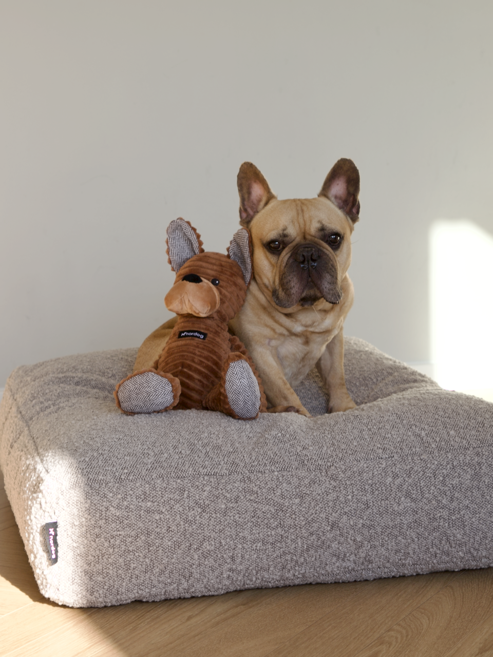 Nordog Tyson The Bulldog hundebamse – billede 3