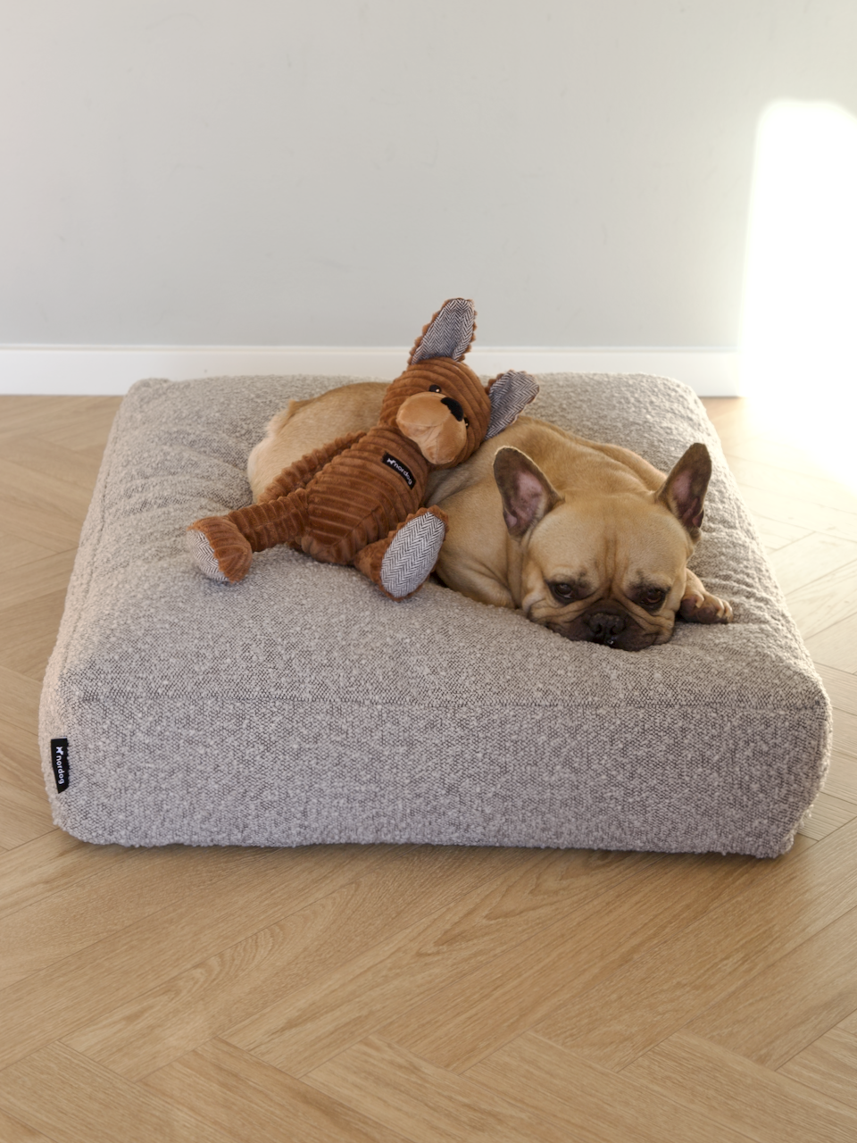 Nordog Tyson The Bulldog hundebamse – billede 4