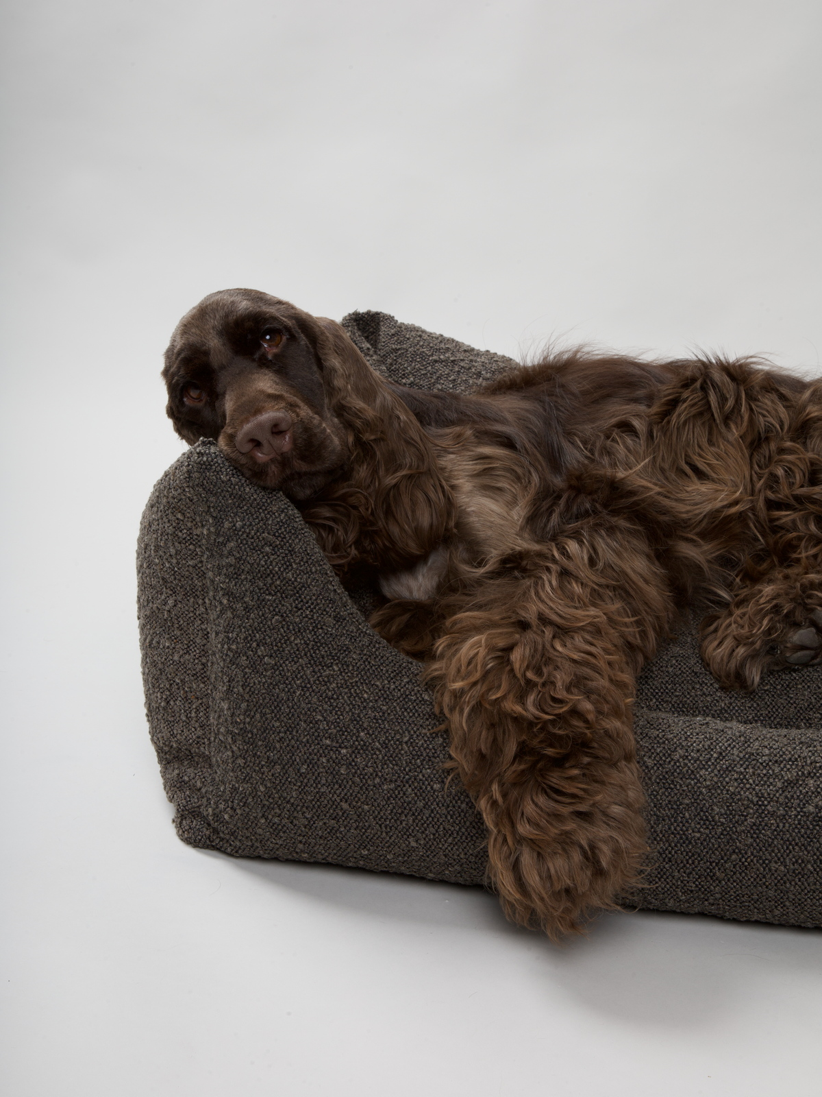 Nordog BILLY hundeseng i bouclé – Mocca – billede 10