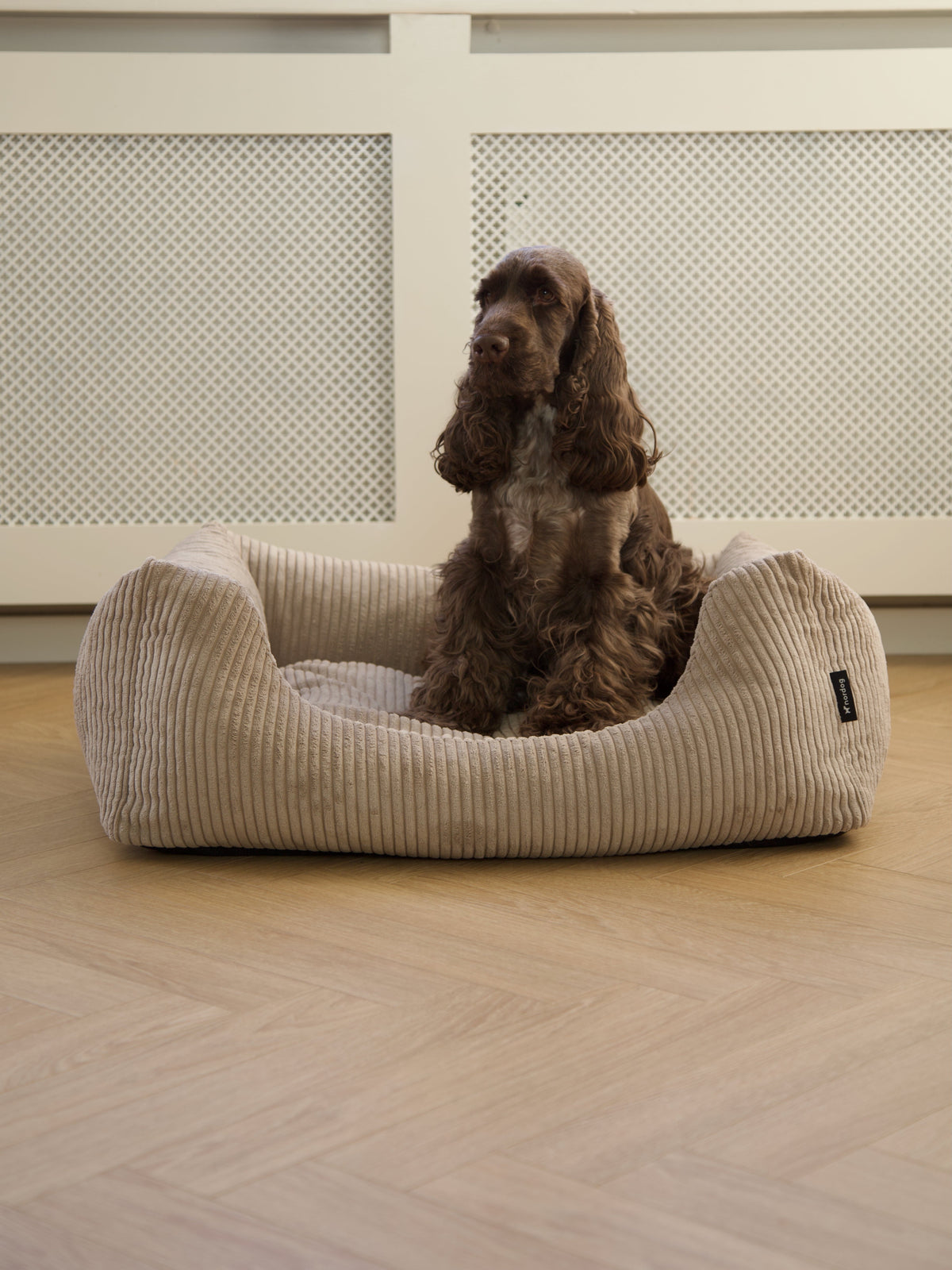 Nordog OSCAR hundeseng i velour – Cappuccino – billede 2