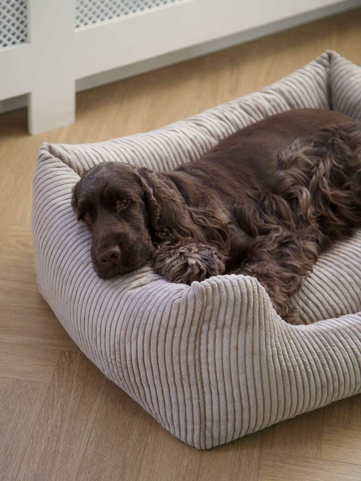 Nordog OSCAR hundeseng i velour – Cappuccino – billede 10